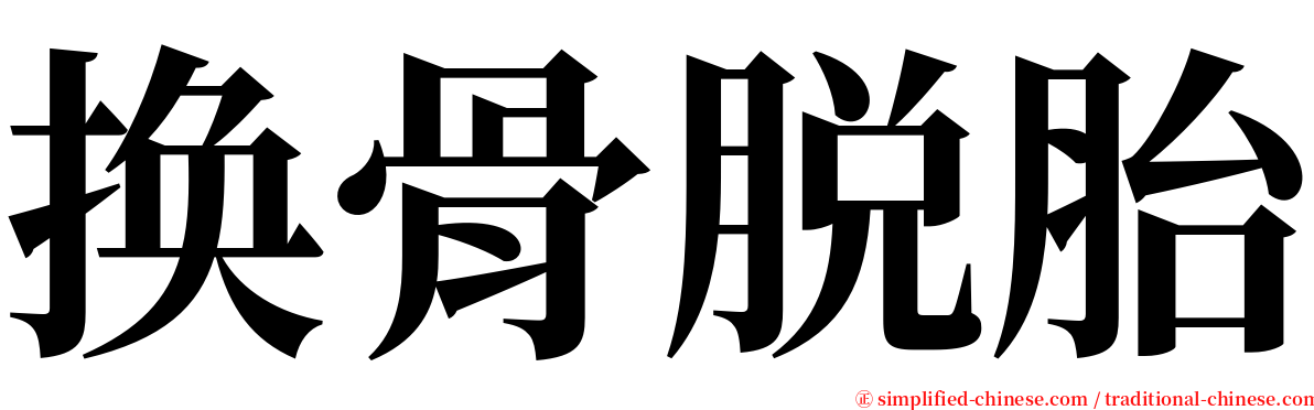 换骨脱胎 serif font