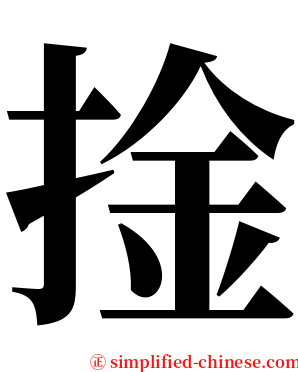 捦 serif font