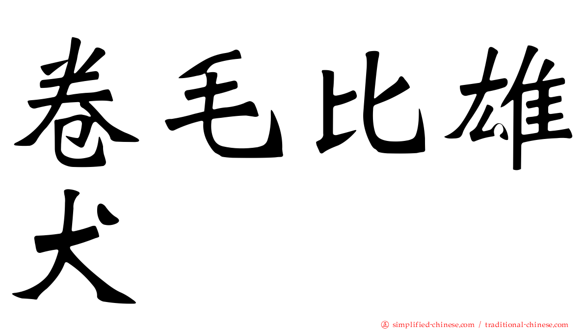 卷毛比雄犬