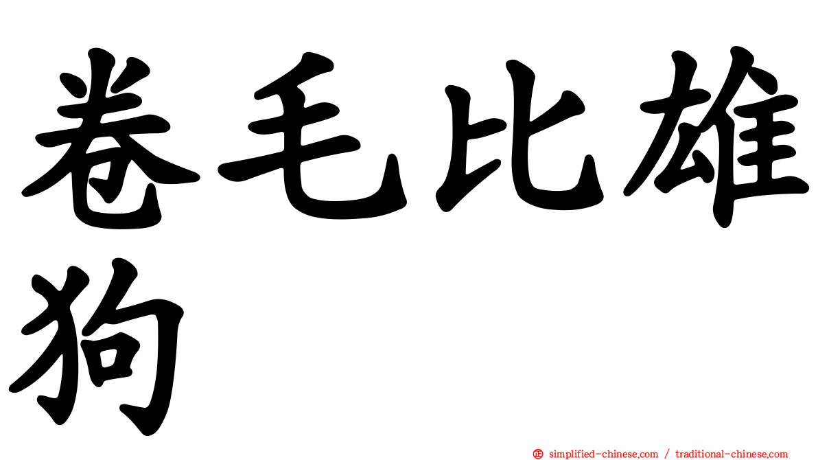 卷毛比雄狗