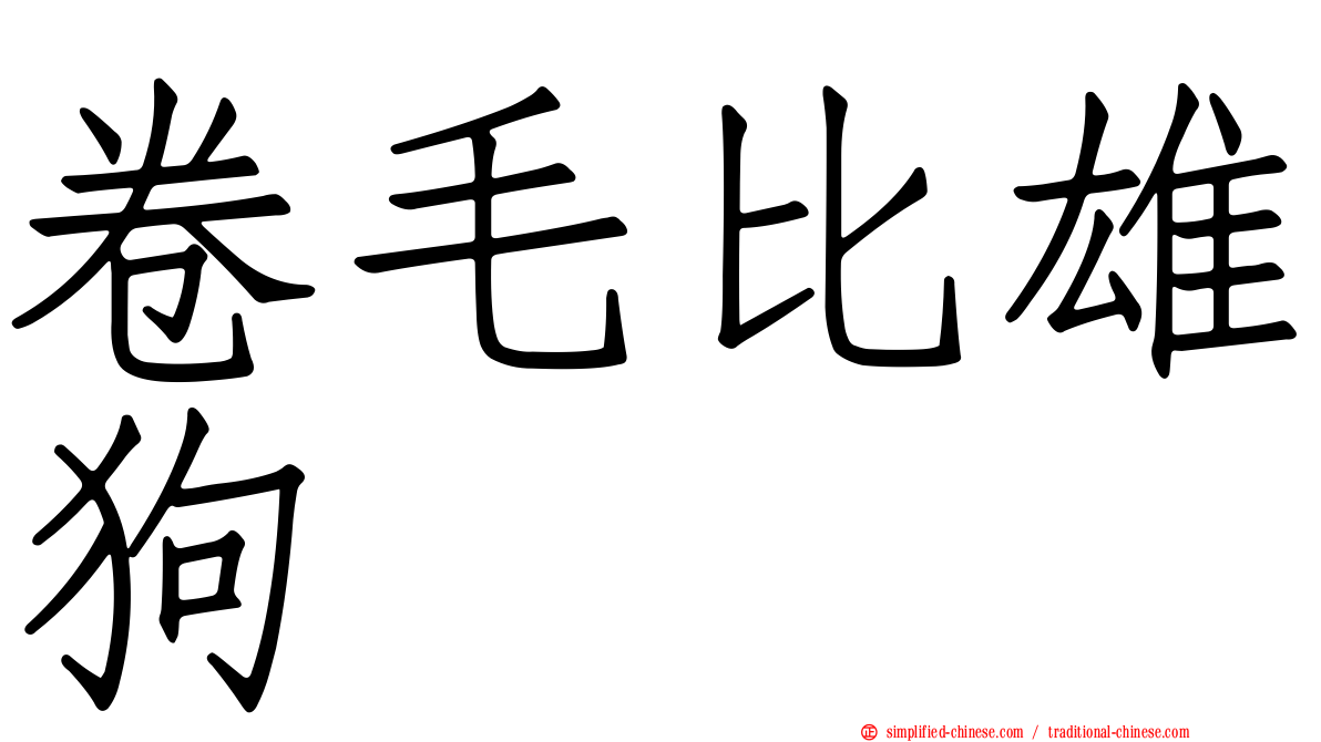 卷毛比雄狗