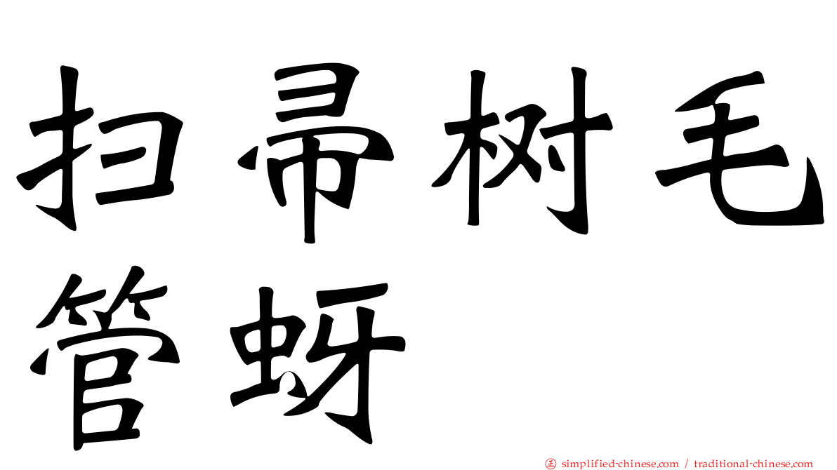 扫帚树毛管蚜