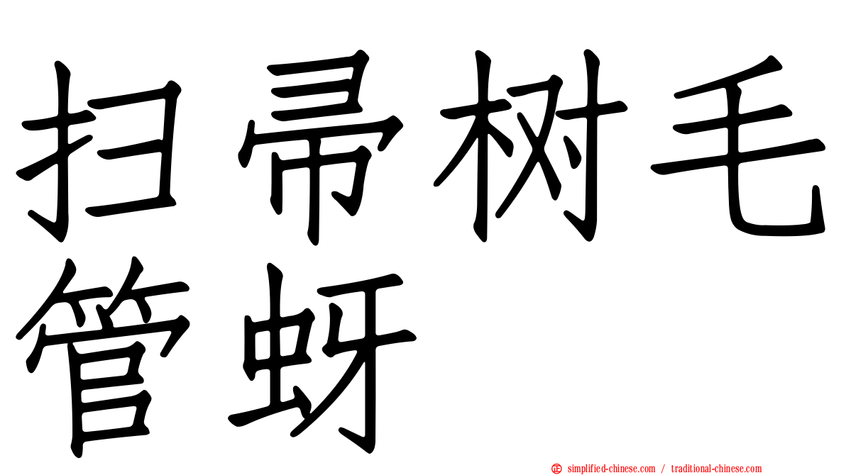 扫帚树毛管蚜