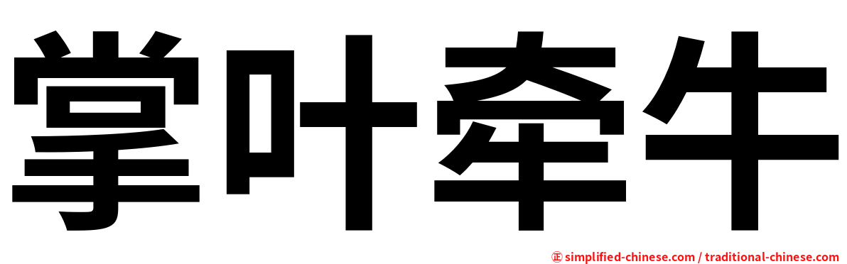 掌叶牵牛