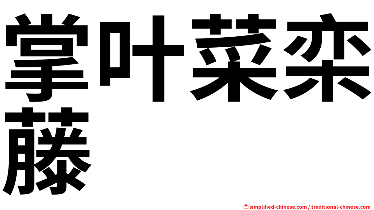 掌叶菜栾藤