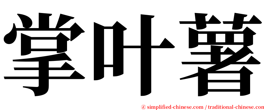 掌叶薯 serif font