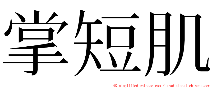 掌短肌 ming font