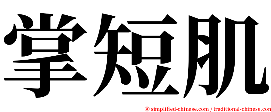掌短肌 serif font