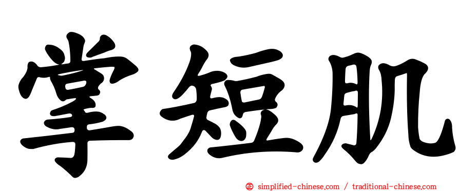 掌短肌