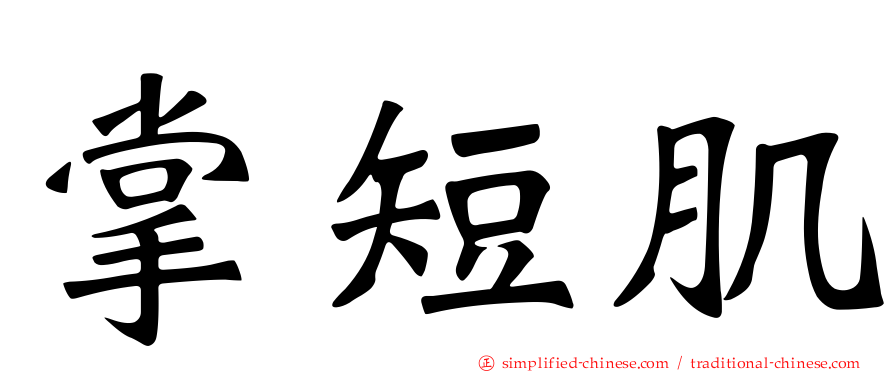 掌短肌