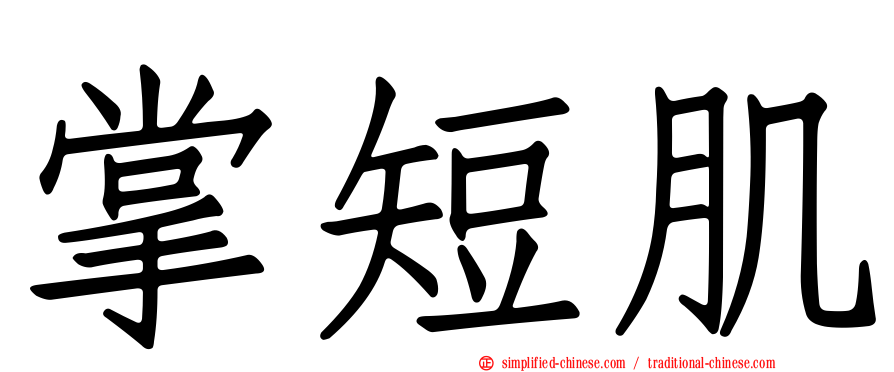 掌短肌