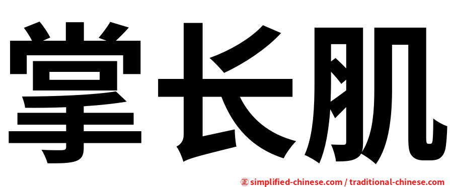 掌长肌