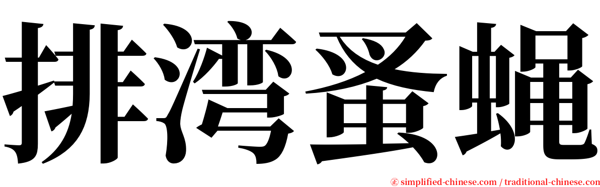 排湾蚤蝇 serif font