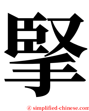 掔 serif font