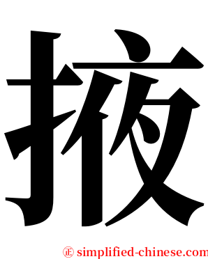 掖 serif font