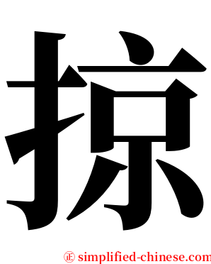 掠 serif font