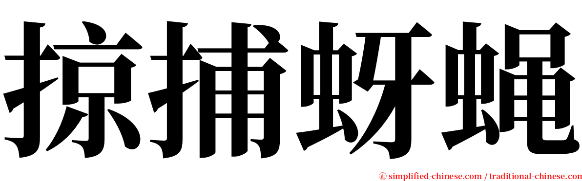掠捕蚜蝇 serif font