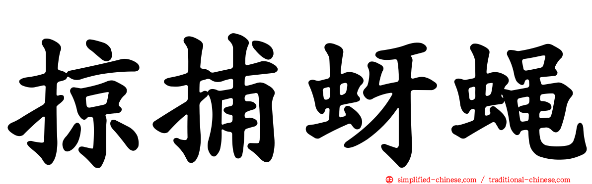 掠捕蚜蝇
