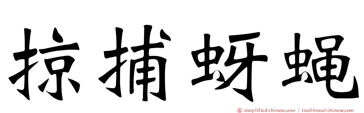 掠捕蚜蝇