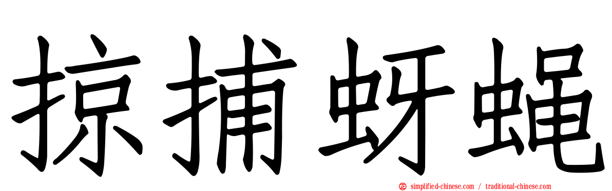 掠捕蚜蝇