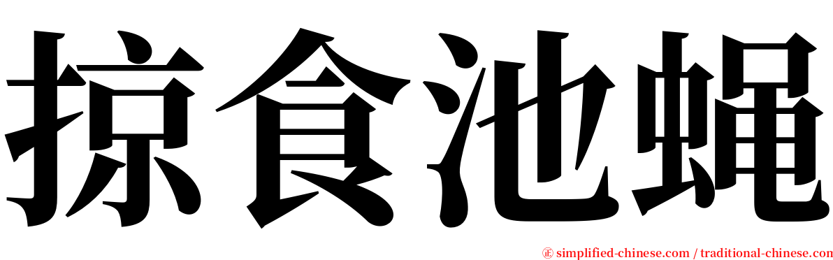 掠食池蝇 serif font