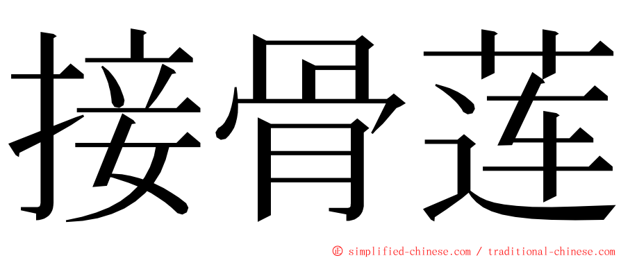 接骨莲 ming font