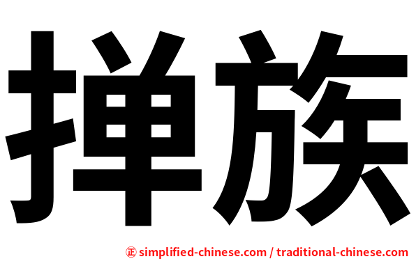 掸族