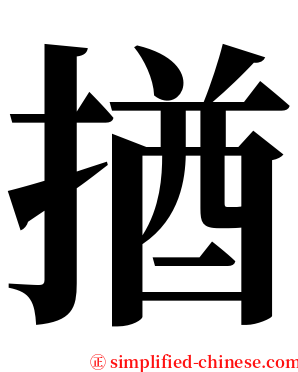 揂 serif font