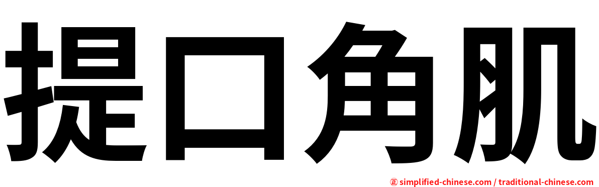 提口角肌