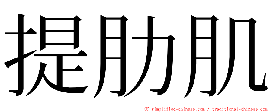 提肋肌 ming font