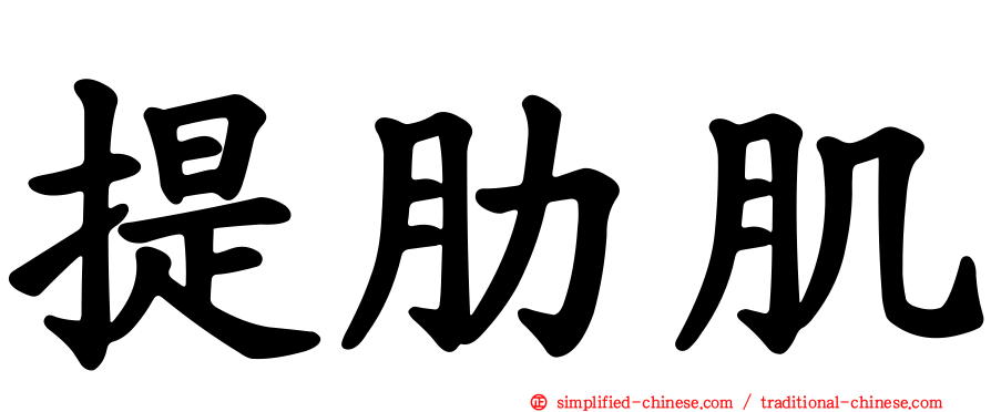 提肋肌