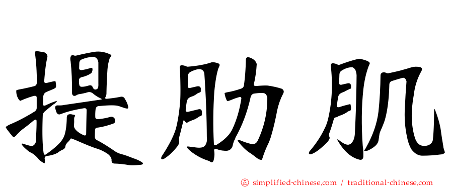 提肋肌