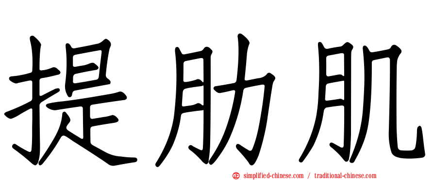 提肋肌