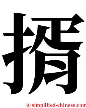 揟 serif font