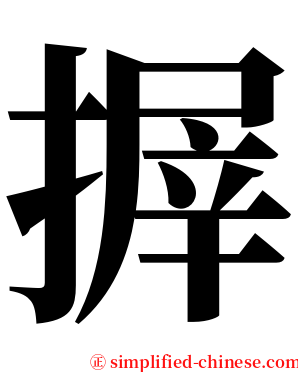 搱 serif font
