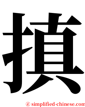 搷 serif font