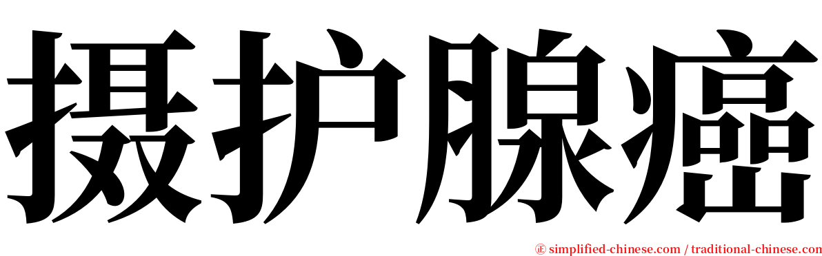 摄护腺癌 serif font