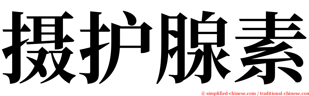 摄护腺素 serif font
