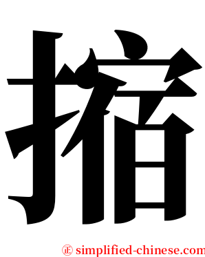 摍 serif font