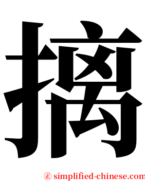 摛 serif font