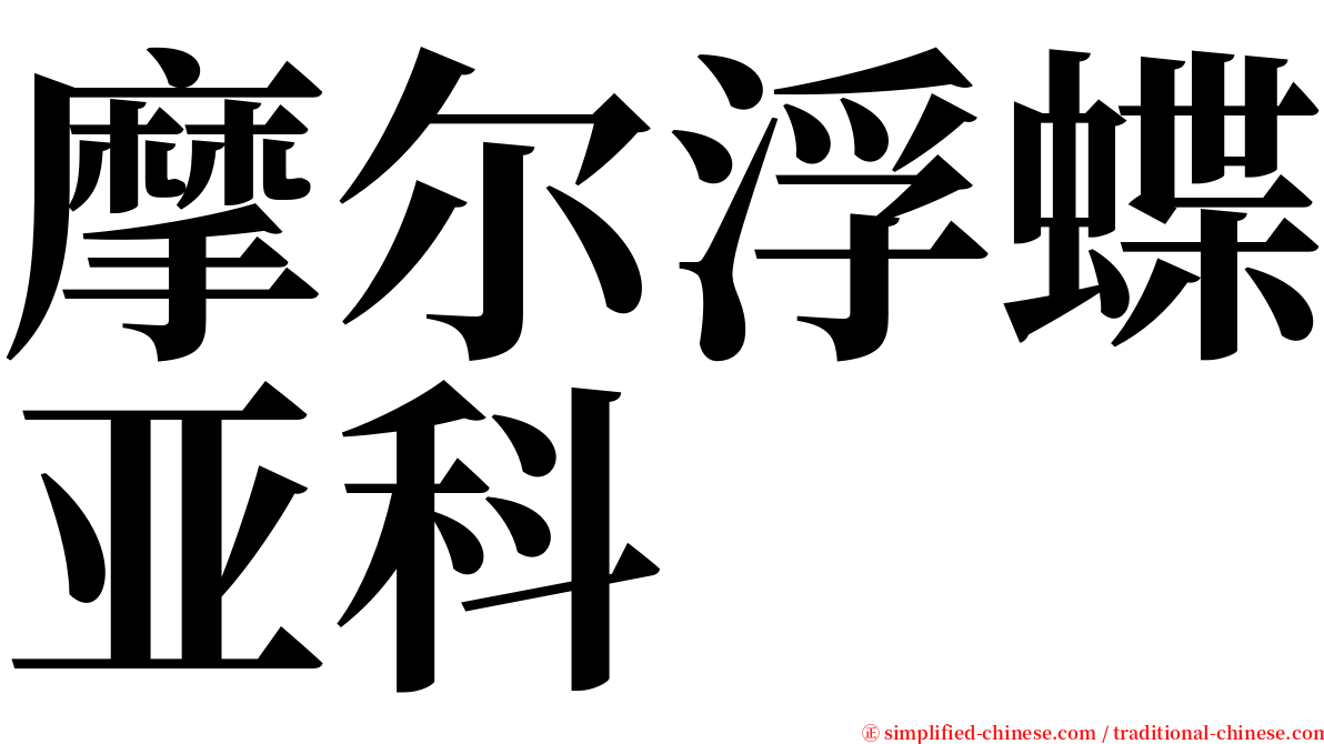 摩尔浮蝶亚科 serif font