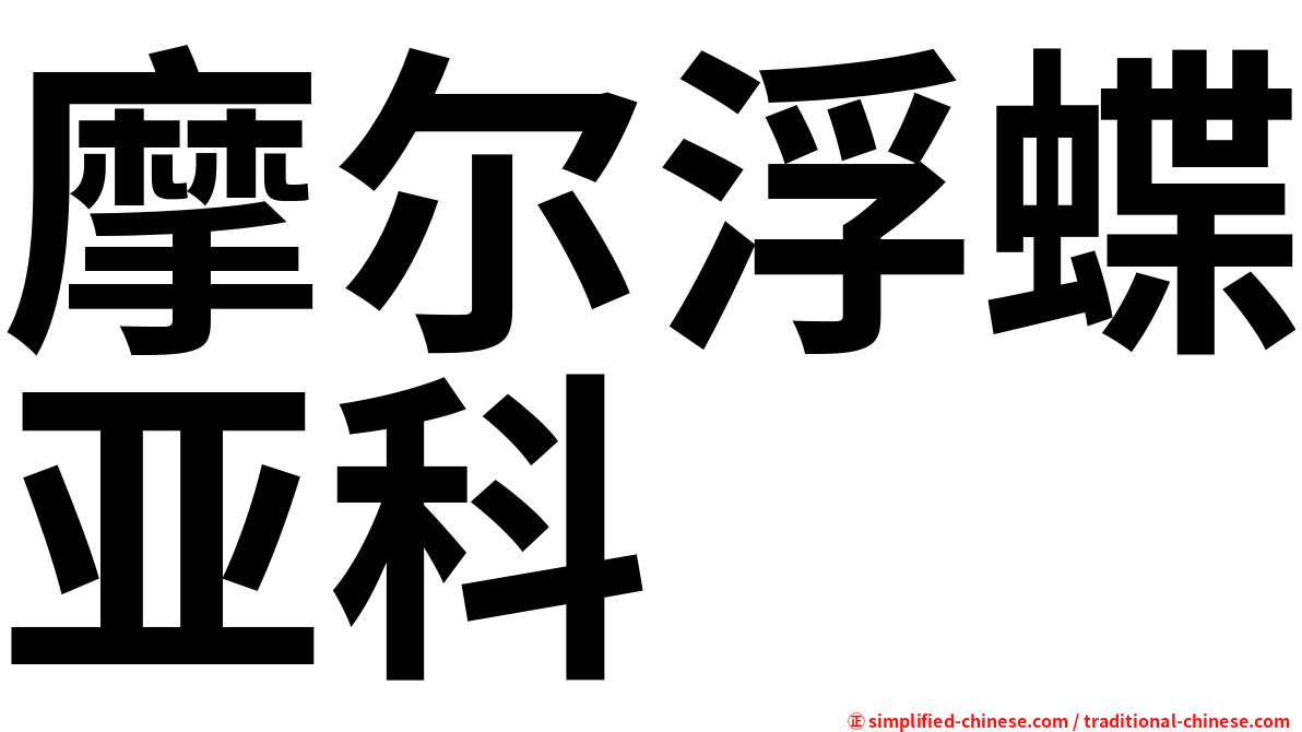 摩尔浮蝶亚科