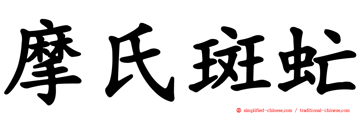 摩氏斑虻