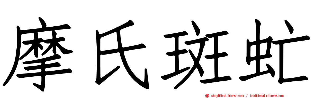 摩氏斑虻