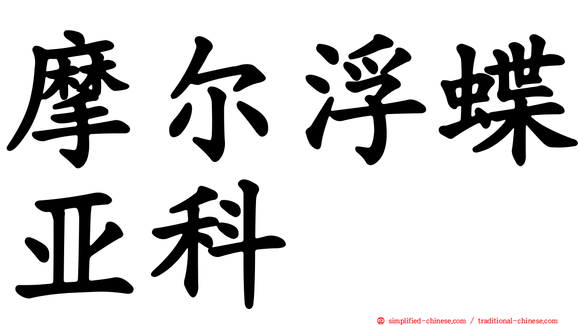 摩尔浮蝶亚科