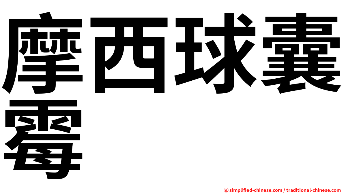 摩西球囊霉