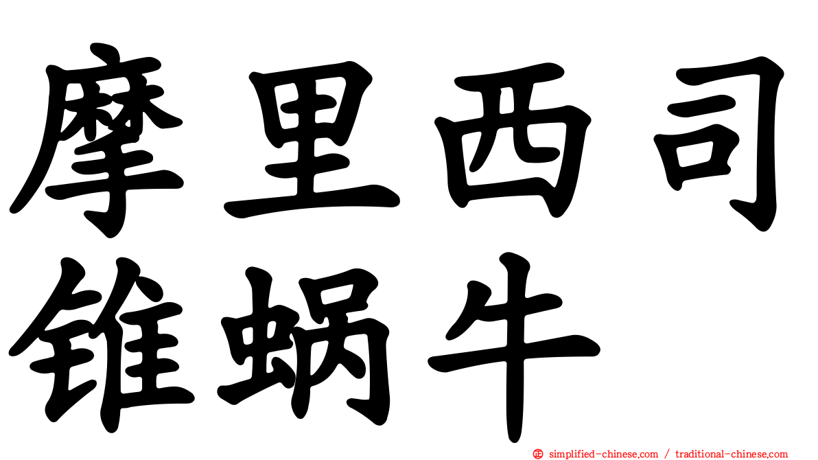 摩里西司锥蜗牛