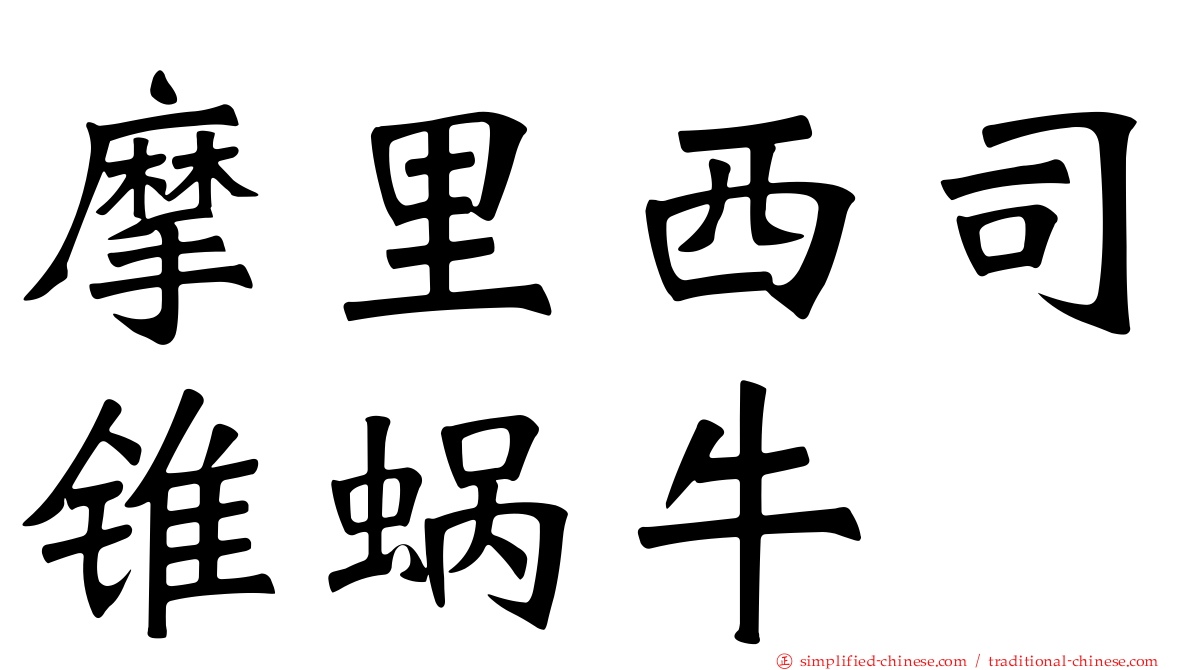 摩里西司锥蜗牛