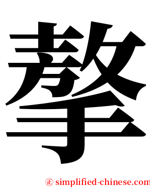 摮 serif font
