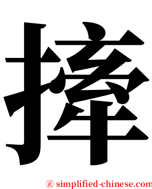撁 serif font